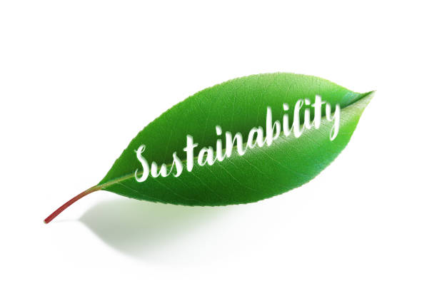 Diodella introduceert duurzaamheidssupport met opvallende recup actie!