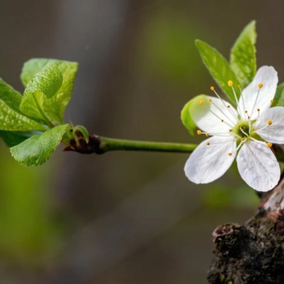 Elke klacht heeft een verhaal